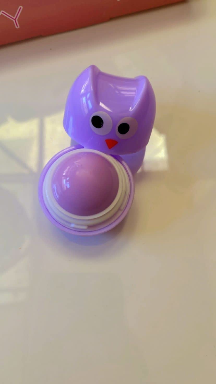 Owl Shaped Fruit Lip Balm Set - 2 Pack Random Flavors | Natural Moisturizing Lip Care for Kids & Adults | Perfect for School, Travel & Gifts