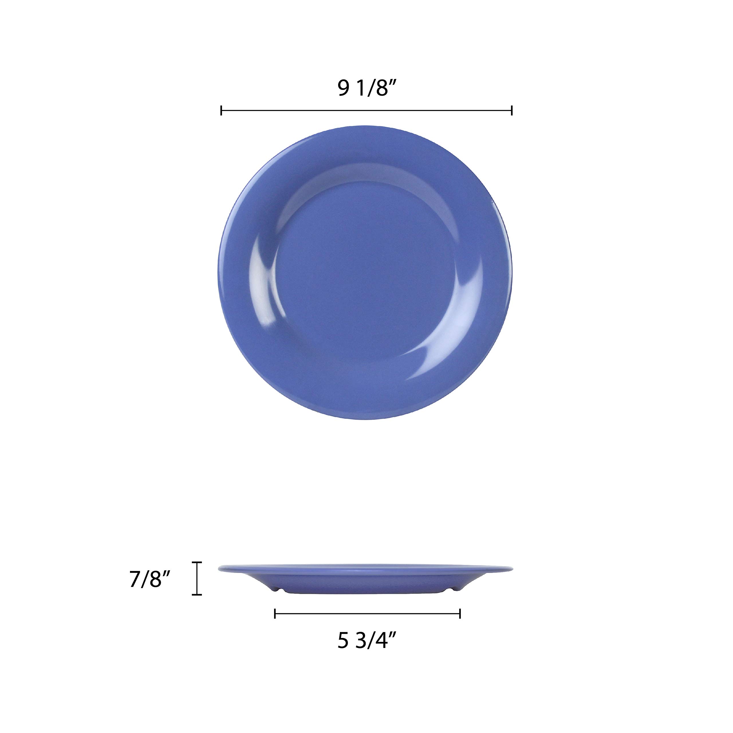 Premium 9-Inch Purple Melamine Dinner Plates - Set of 12, Shatterproof & Lightweight for Outdoor Dining, Picnics, Camping & Everyday Use