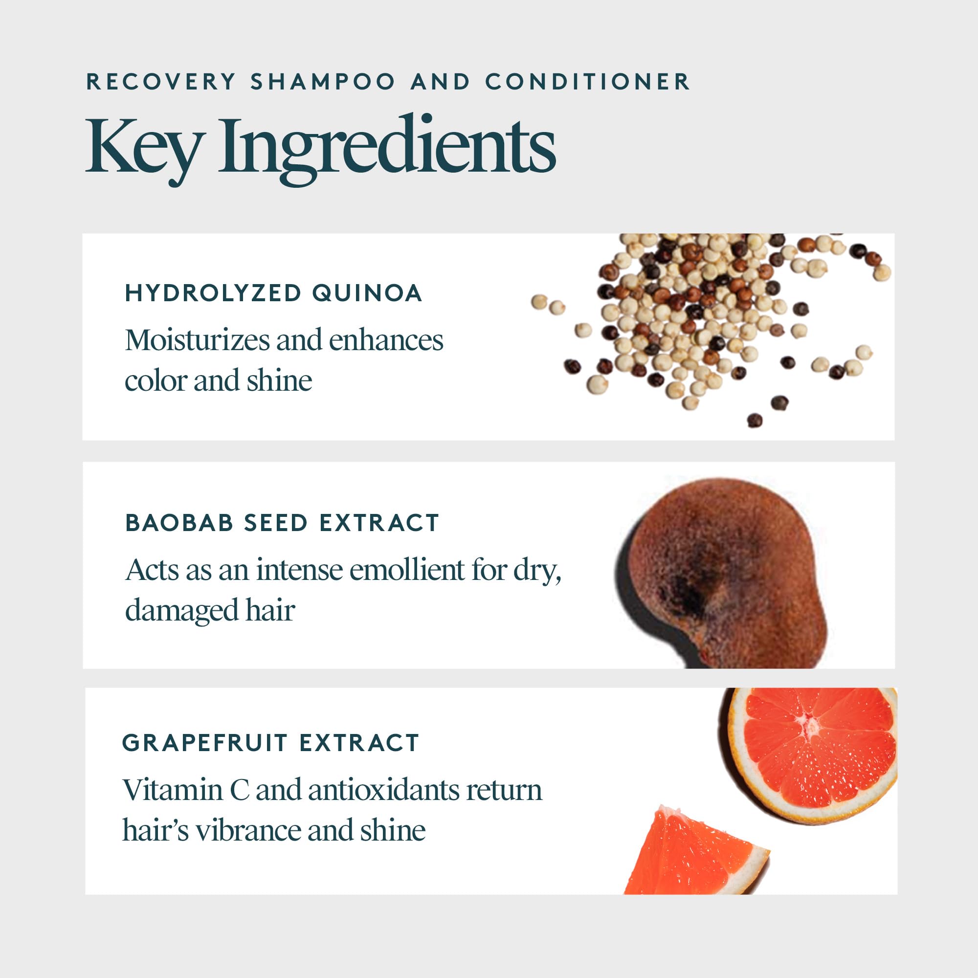 Virtue Recovery Sulfate-Free Shampoo & Conditioner Set with Keratin - Hydrates, Softens & Repairs Damaged Hair - Color Safe Formula - Perfect for Dry, Brittle & Chemically Treated Hair at Home or Salon