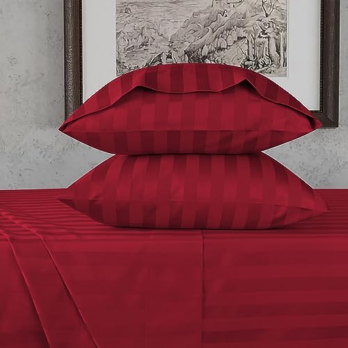 Burgundy Stripe