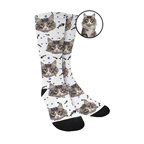 3-cat White