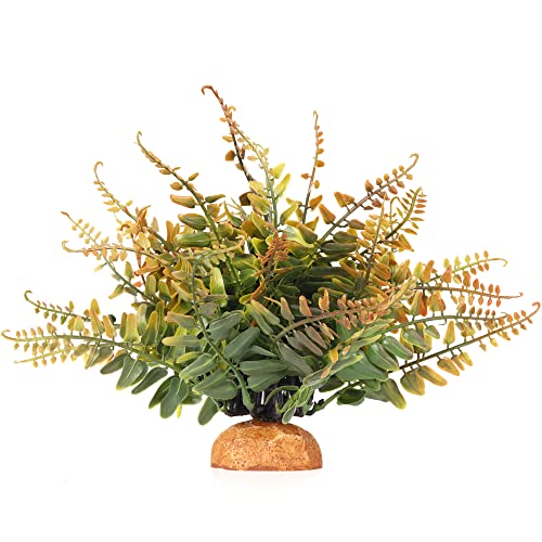 J-fake Fall Colors Boston Fern