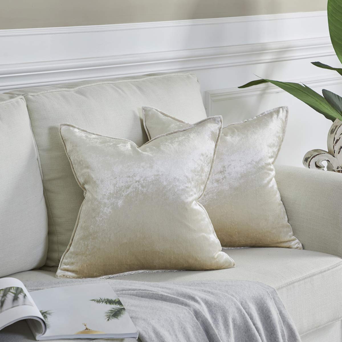 GIGIZAZA 16x16 Inch Velvet Decorative Throw Pillow Covers Set of 2 - Soft Square Couch Sofa Pillow Covers in Ivory for Living Room, Bedroom & Home Decor