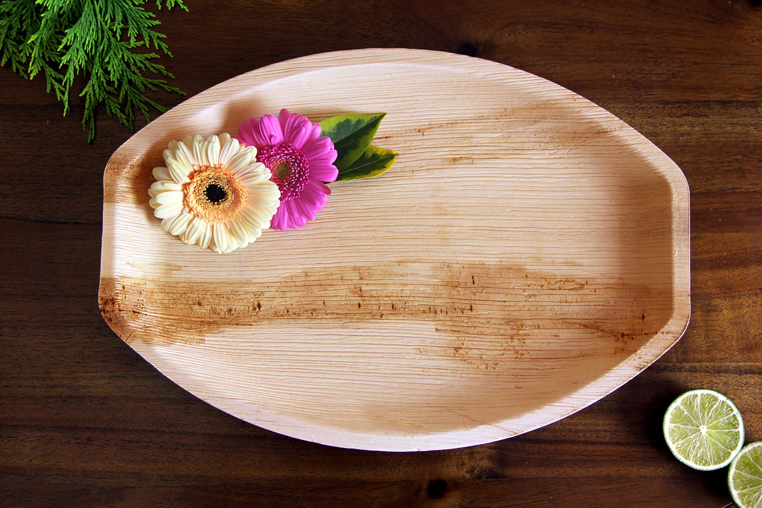 FOOGO 10-Pack Eco-Friendly Palm Leaf Disposable Serving Trays - 14