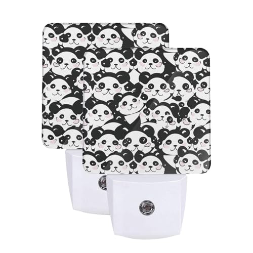 Cute Panda