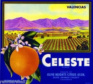 Vintage Citrus Fruit Crate Art Print - Celeste Orange & Olive Magnet for Fridge, Kitchen Decor | Retro Kitchen Wall Art, Office Decor, Gift for Foodies