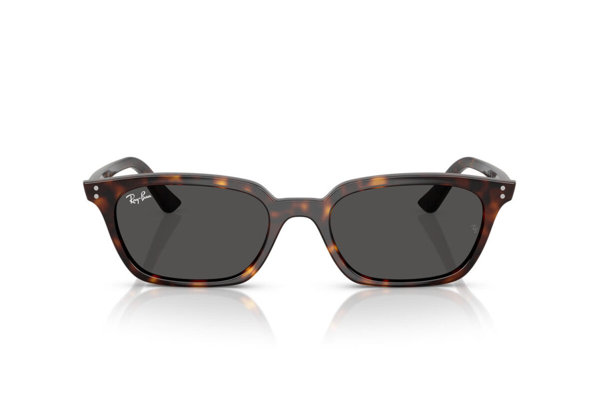 Ray Ban Zaya Havana Sunglasses - Polarized Aviator Style for Men & Women - Perfect for Driving, Travel, and Outdoor Adventures