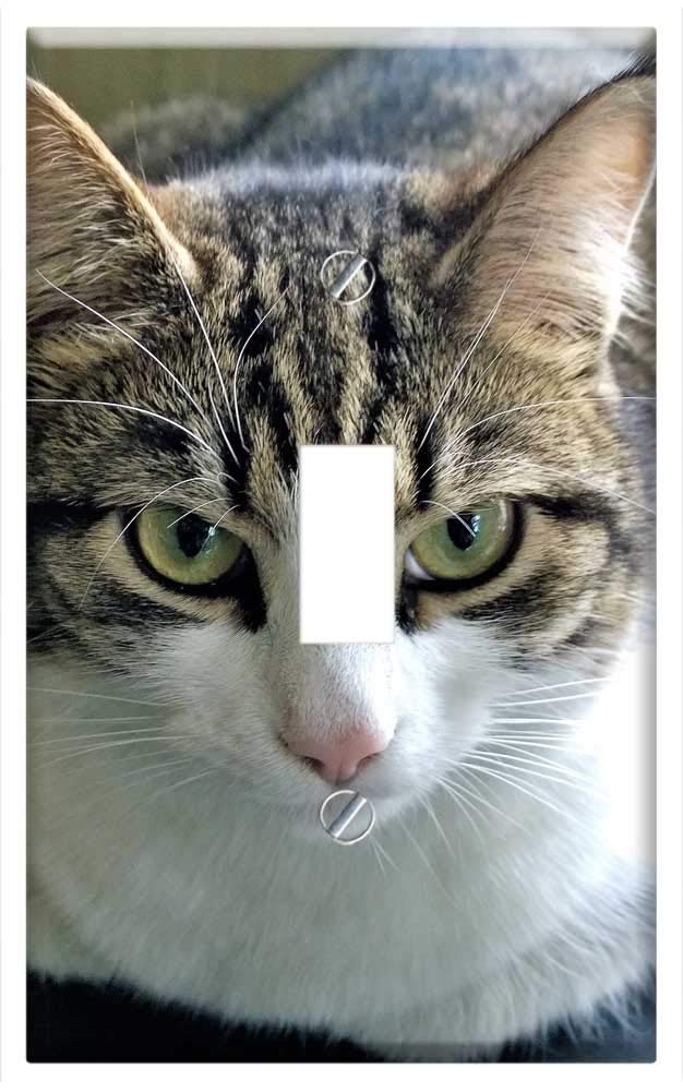 Single Toggle Switch Plate Cover with Cute Cat Face Design - Perfect for Pet Lovers' Home Decor, Bedroom, Nursery, and Living Room