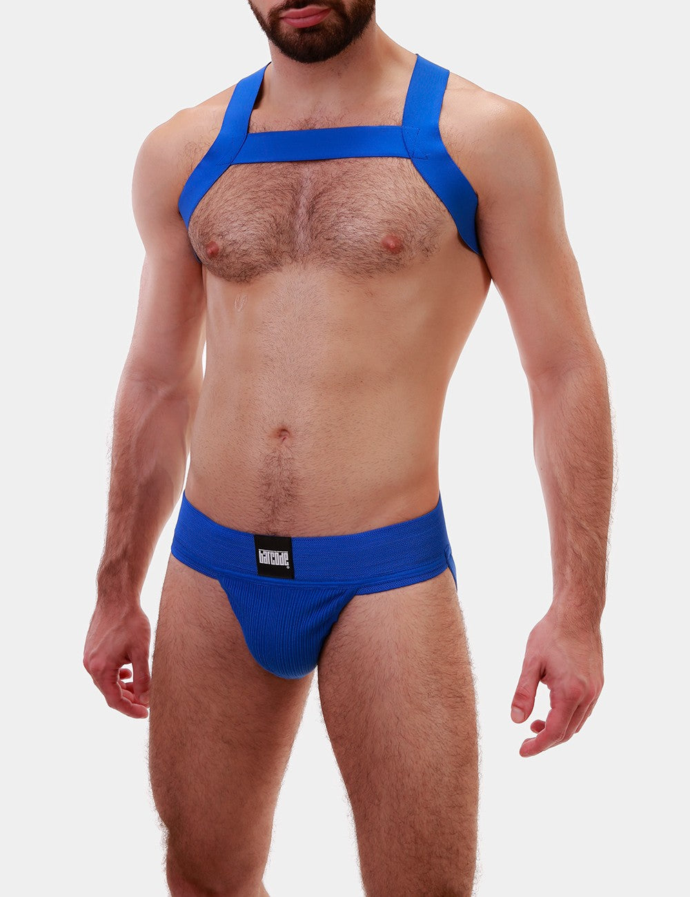 Premium Blue Matt Barcode Berlin Dog Harness - Durable & Comfortable for Small to Medium Dogs - Perfect for Walking, Training & Outdoor Adventures