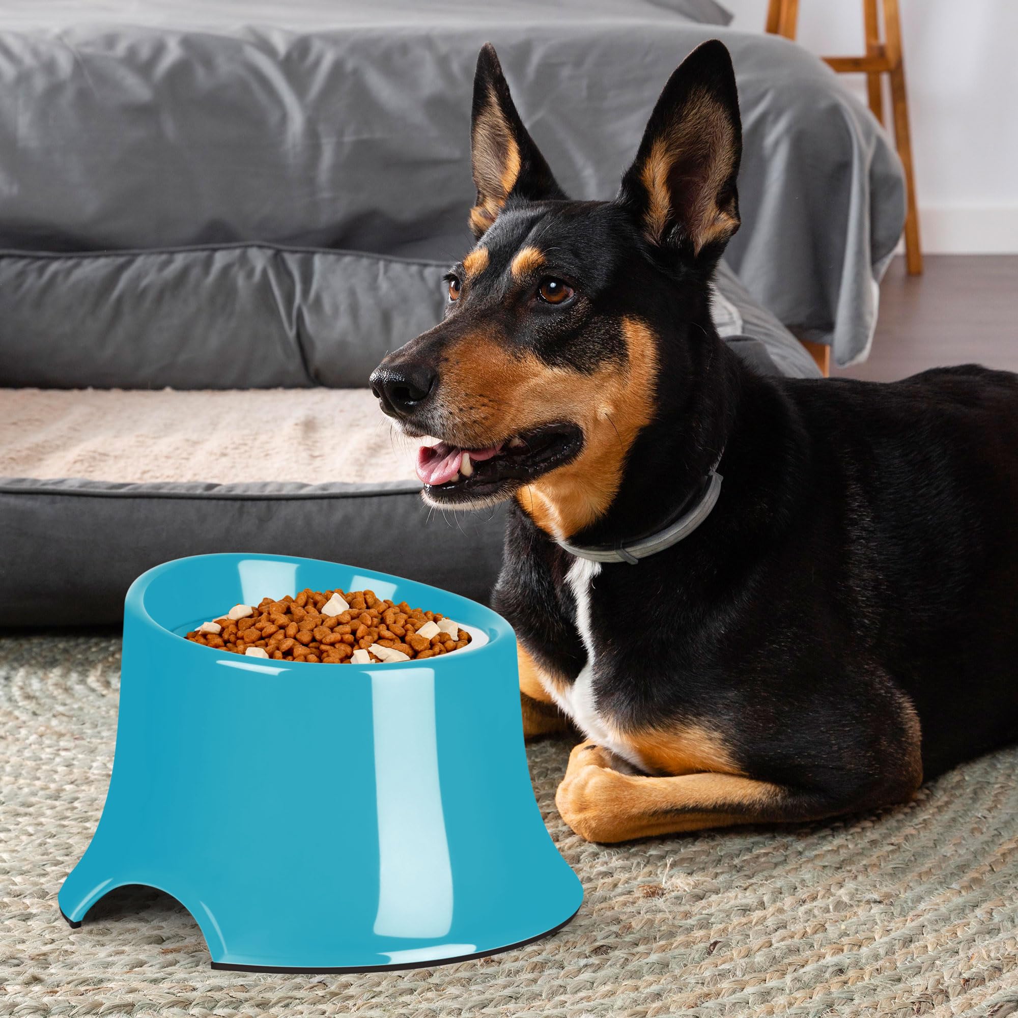 Stainless Steel Elevated Dog Bowls - Non-Slip, High Capacity (2 Cup) Pet Food Bowls for Medium Dogs | Prevents Vertebrae Disease | Perfect for Indoor/Outdoor Feeding - Grass Blue Design