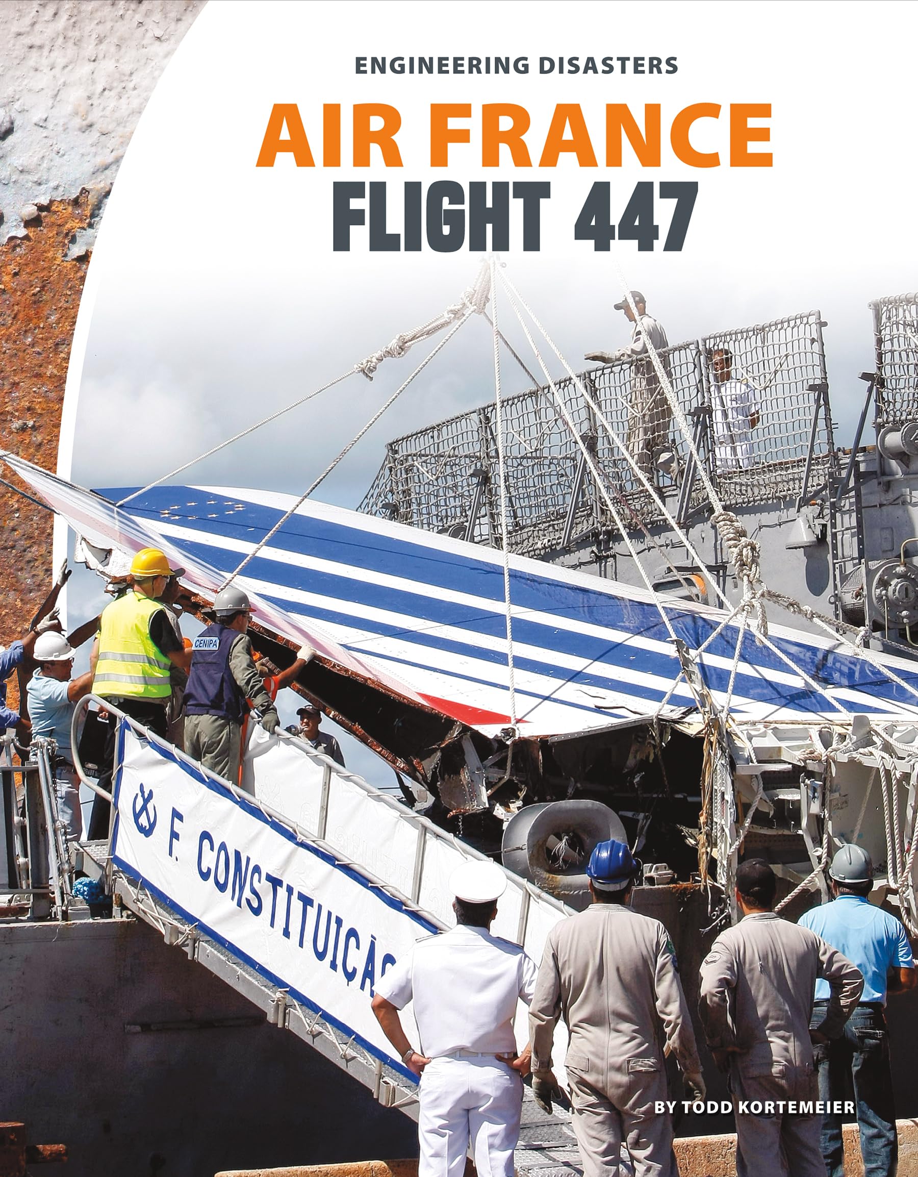 Air France Flight 447 Crash Investigation - Analysis of Engineering Disasters in Aviation History | Perfect for Aviation Safety Studies & Engineering Case Discussions