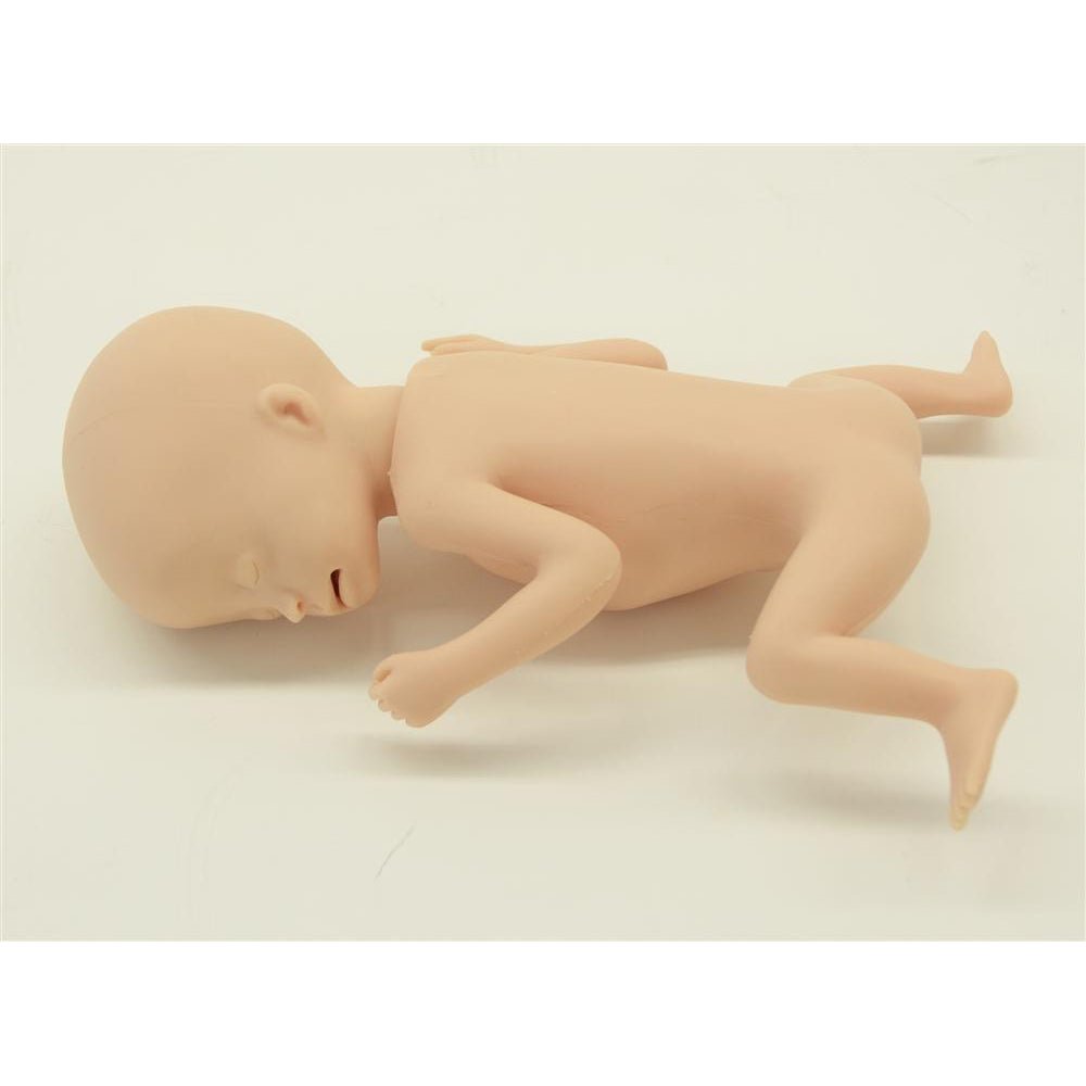 Premature Baby Simulator for Neonatal Training - Realistic Extremely Low Birth Weight Infant Model for Medical Education & Nursing Practice