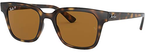 Light Havana/Polarized Brown