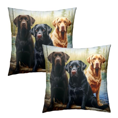 Three Labrador Dogs By the Lake