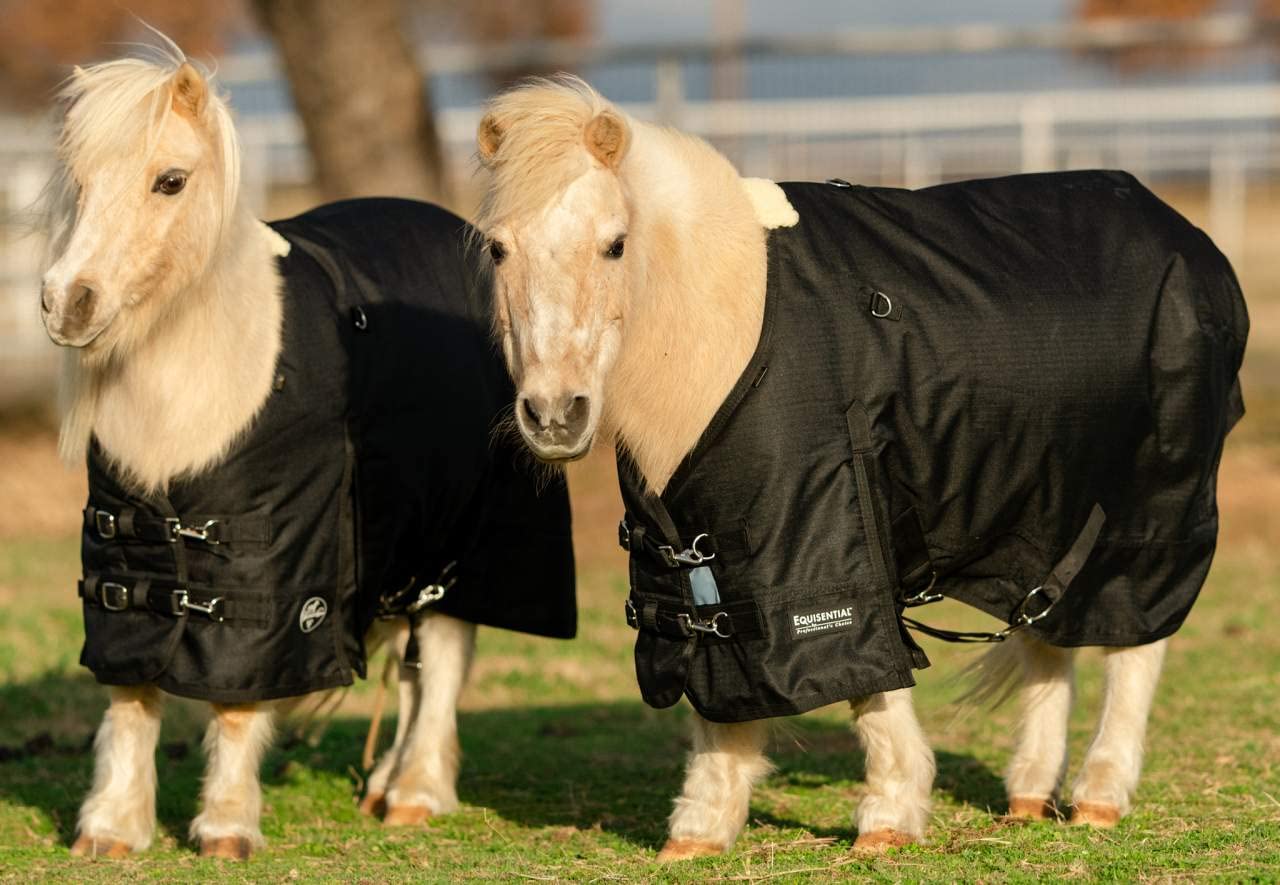 Professional's Choice 1200D Heavy Duty Winter Horse Blanket - Waterproof & Insulated for Cold Weather Riding & Stable Use