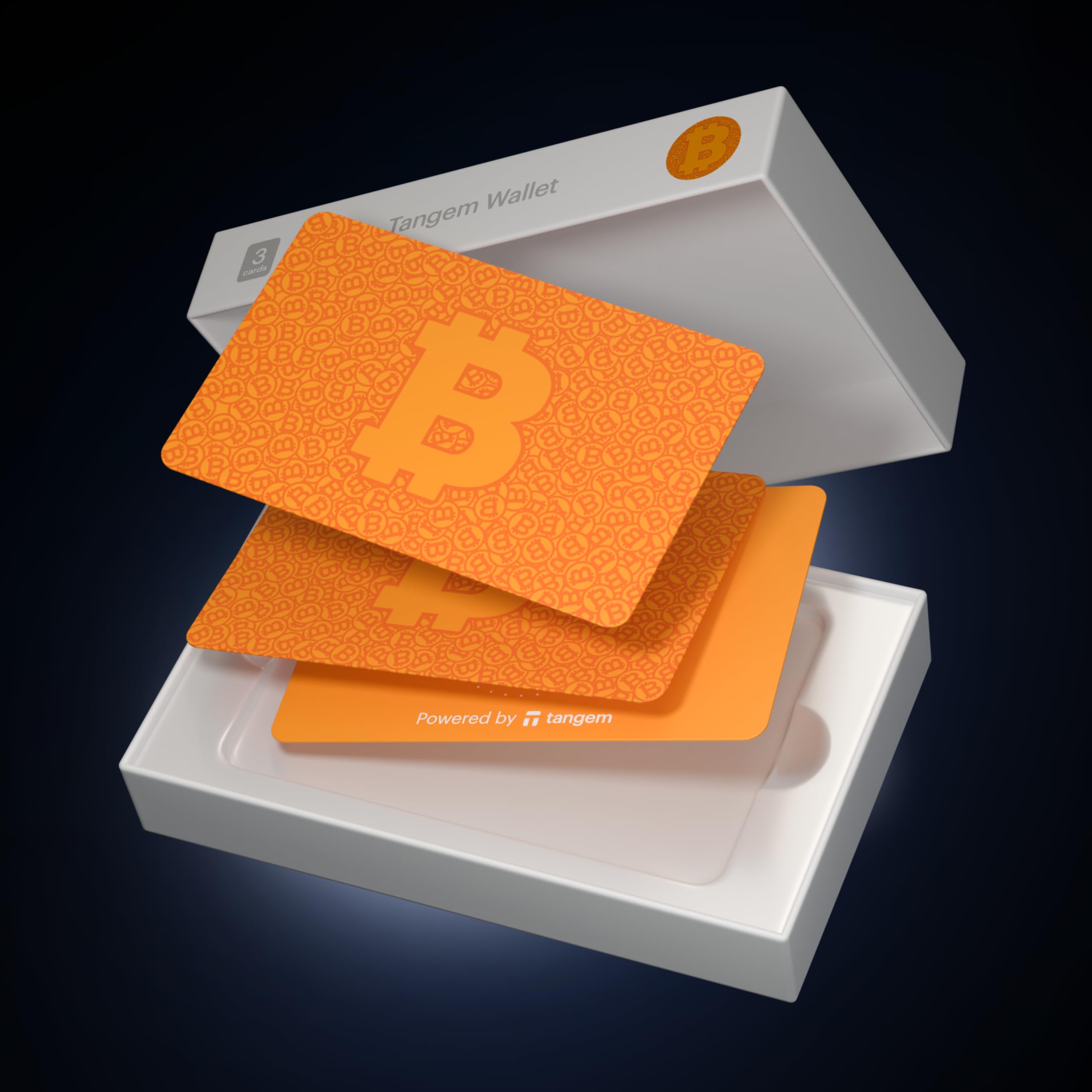 Secure Crypto Wallet for Bitcoin & Digital Assets - Blockchain Storage & Cold Wallet for Safe Transactions | Perfect for Online Shopping & Investment