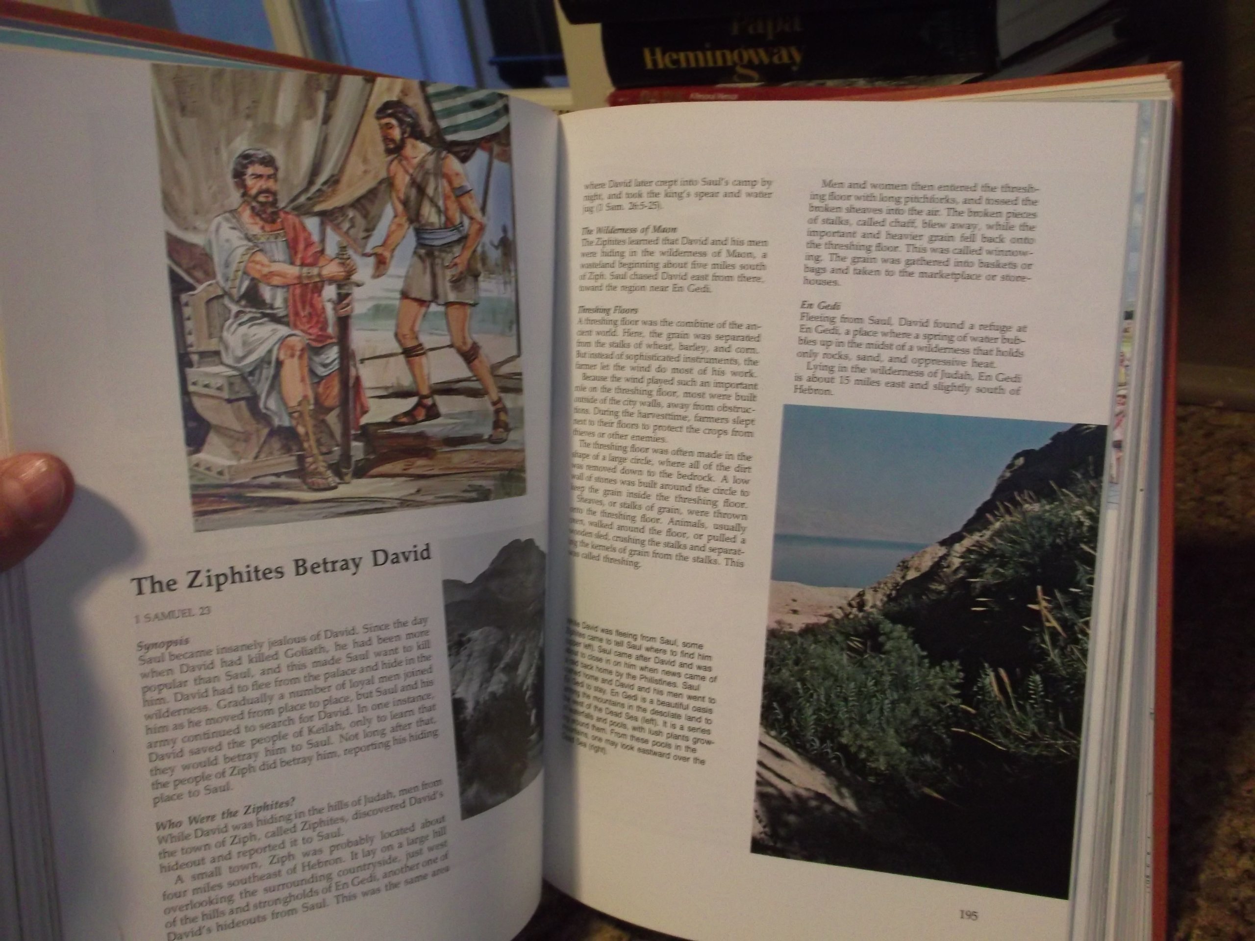 The Victor Handbook of Bible Knowledge: Answers to 300 Bible Stories - Perfect for Bible Study, Sunday School & Christian Education