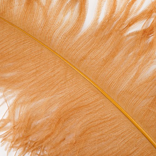 Cinnamon