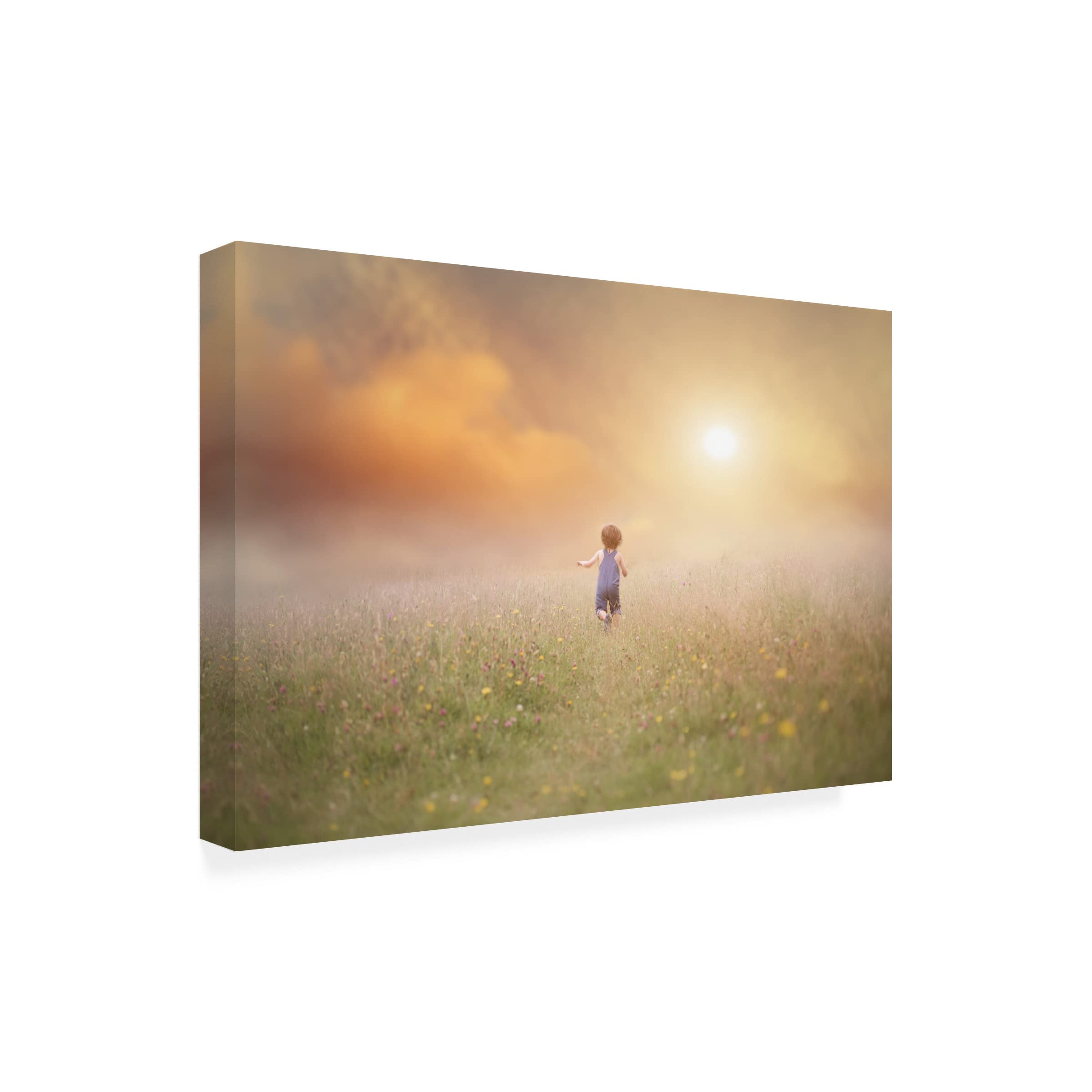 Trademark Fine Art 'Run' Canvas Wall Art by Lynne Williams - Modern Home Decor for Living Room, Bedroom & Office