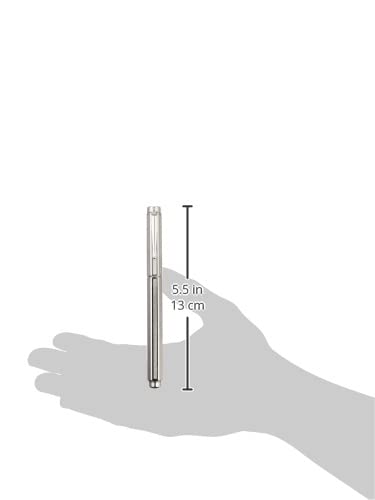 Caran d'Ache Chevron Ecridor Fountain Pen - Silver Plated/Rhodium Coated with Fine Nib (0958.276) | Luxury Writing Instrument for Professionals & Gift Giving
