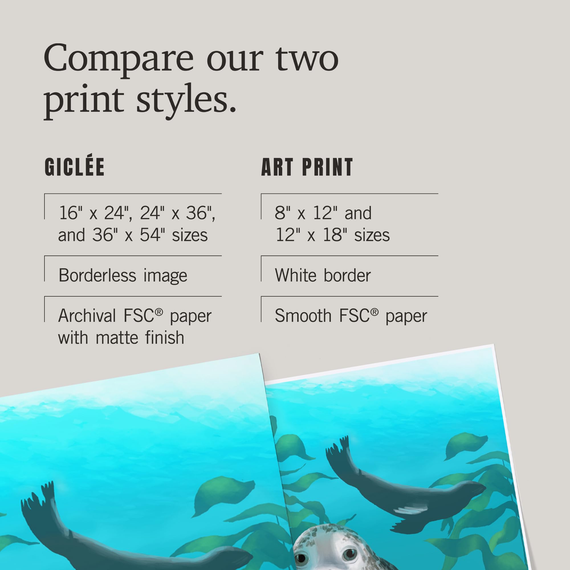 Lantern Press 16x24 Inch Giclee Art Print - Harbor Seals Wall Decor for Living Room, Bedroom & Office | Premium Canvas Painting for Coastal & Nautical Home Decor