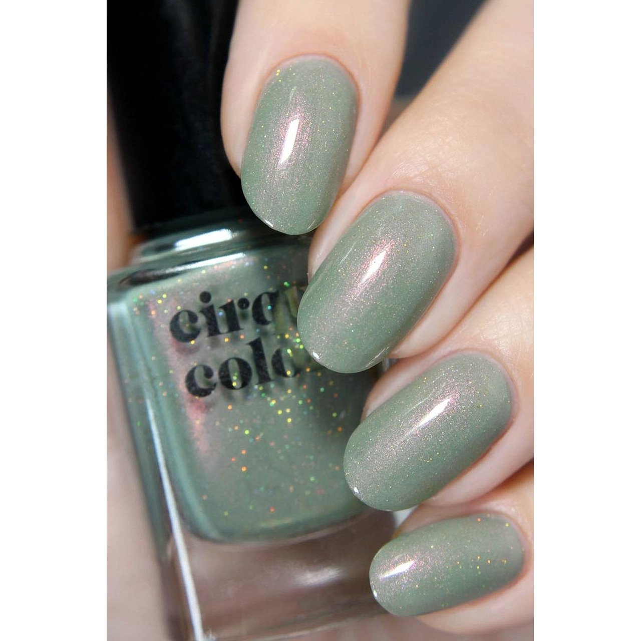 Cirque Colors Succulent Garden Nail Polish - 0.37 oz Vegan & Cruelty-Free Nail Lacquer - Long Lasting Gel-Like Shine for Manicures & Pedicures - Perfect for Spring Nail Art & Everyday Wear