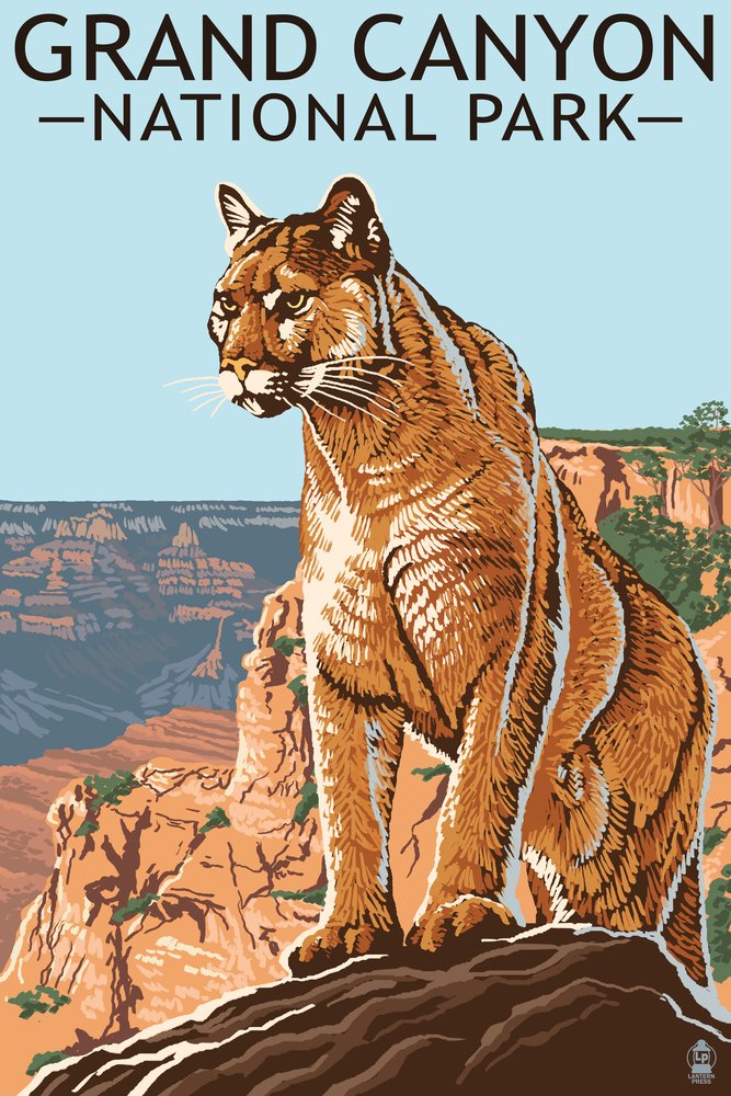 Grand Canyon National Park Mountain Lion Wall Art Poster - 12x18 Inches, Wildlife Decor for Living Room, Bedroom & Office - Perfect for Nature Lovers & Home Decoration