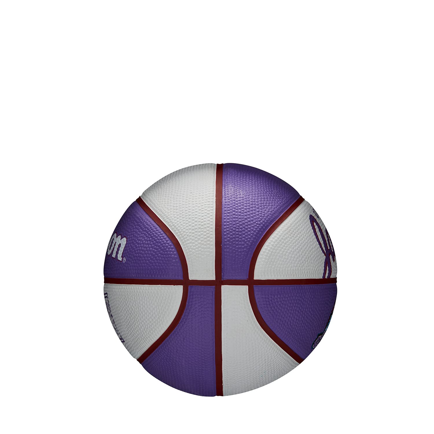 Wilson NBA Mini Basketball 3