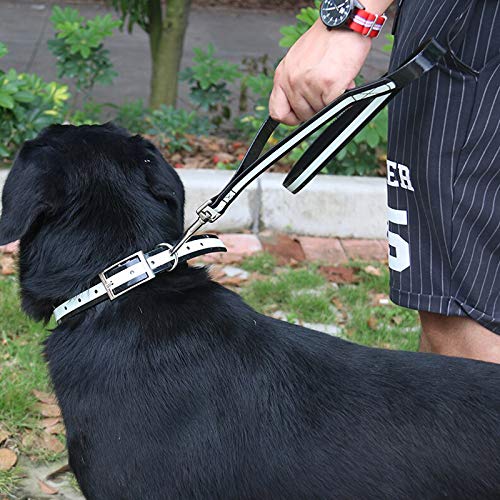 Regal Dog Products 5 ft Reflective Dog Leash - Lightweight Training Lead with Easy Collar Hook for Small, Medium, Large & XL Dogs (Black) | Perfect for Night Walks, Jogging & Outdoor Adventures