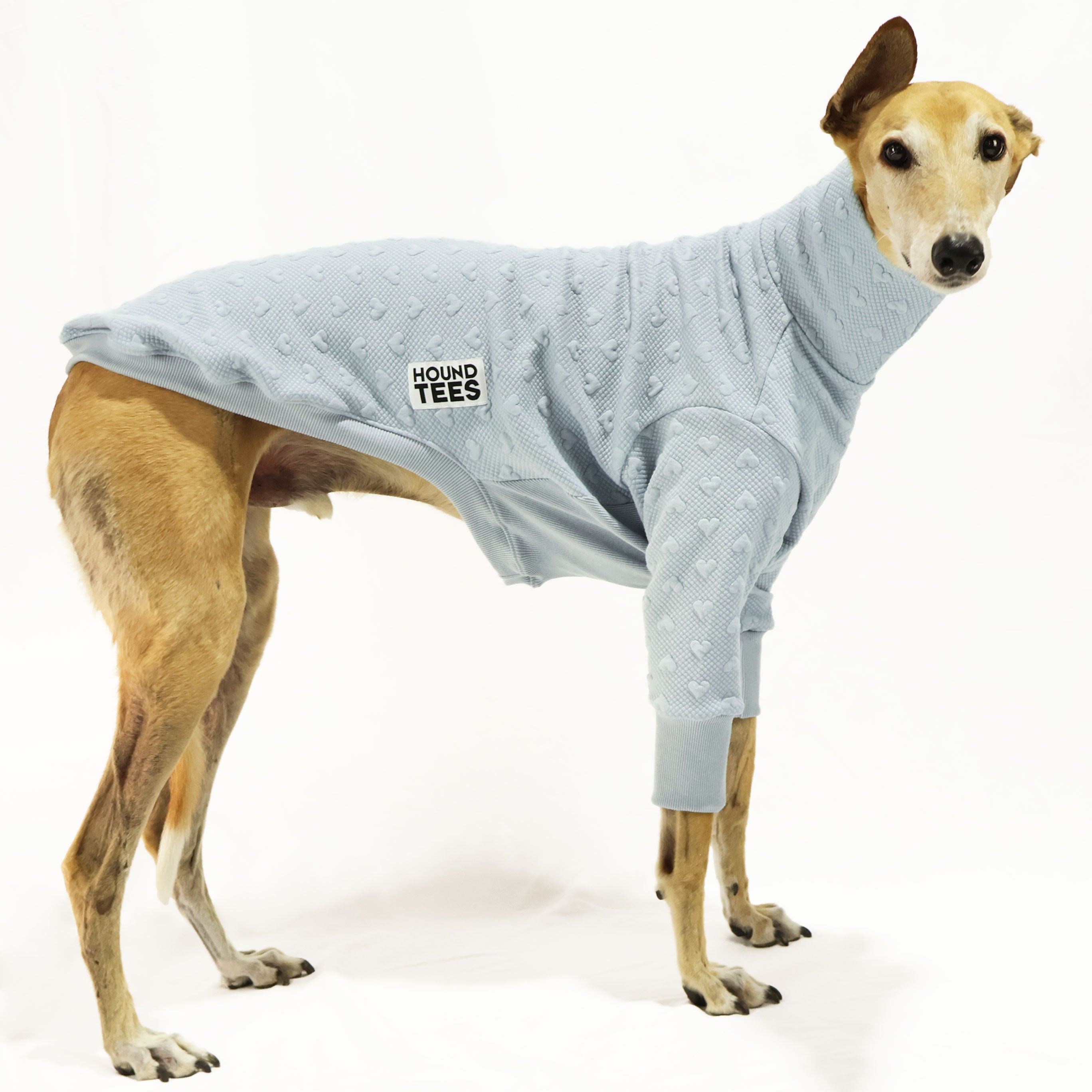 Jadore Greyhound Quilted Sweater - Cozy Knit Dog Sweater for Small Medium Dogs - Perfect for Winter Walks & Outdoor Adventures