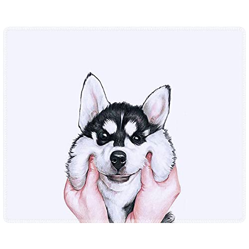 Husky Dog