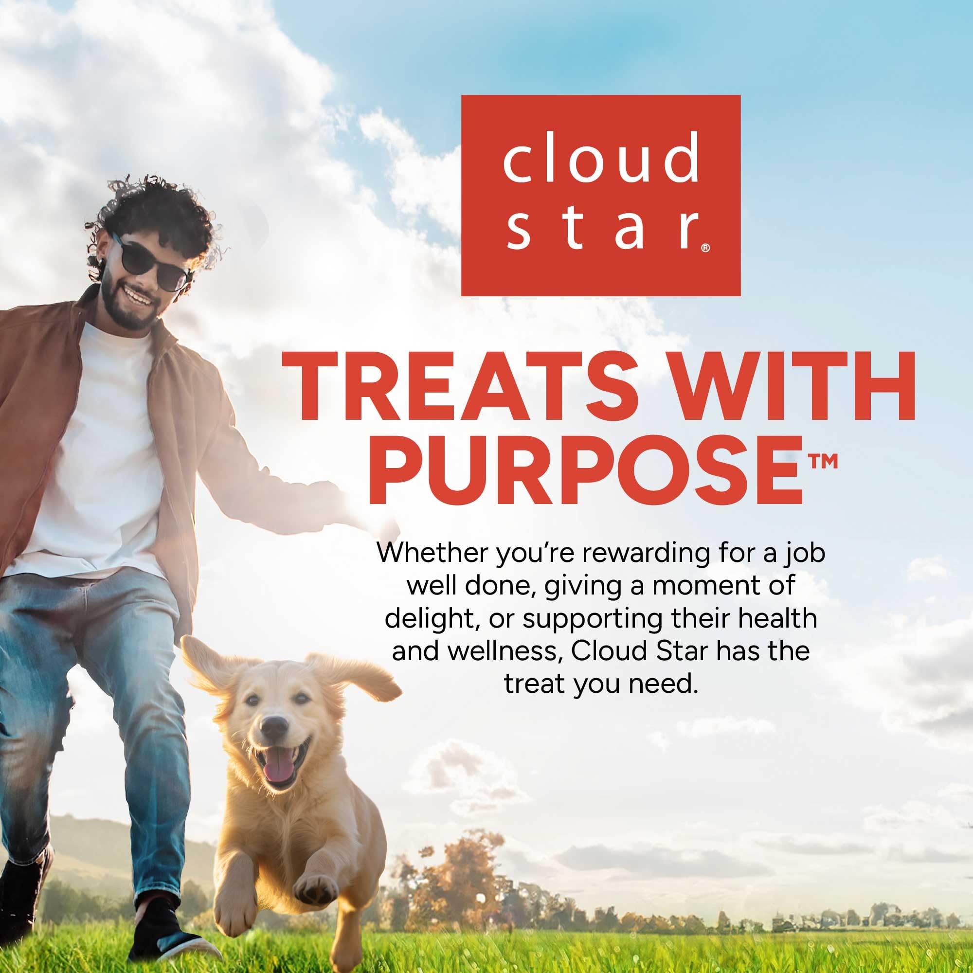 Cloud Star Grain Free Oven Baked Buddy Biscuits Dog Treats - Homestyle Peanut Butter Flavor, 14oz (Pack of 12) | Healthy Natural Snacks for Small & Large Dogs | Perfect for Training Rewards & Daily Treats