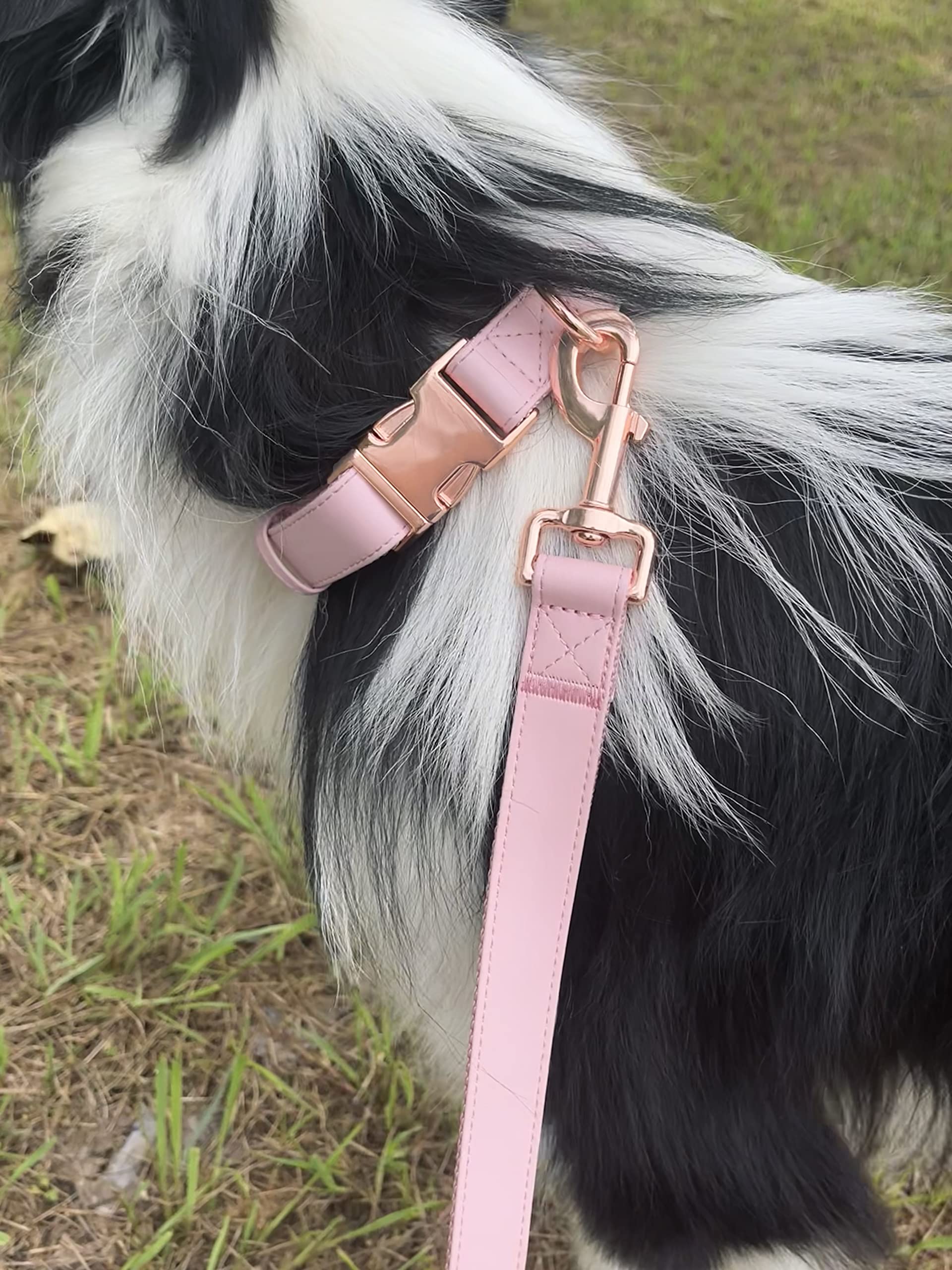 Premium Vegan Leather Dog Collar and Leash Set - Soft, Durable & Easy to Clean with Rose Gold Buckle for Small, Medium & Large Dogs (Pink, Size S 12.2