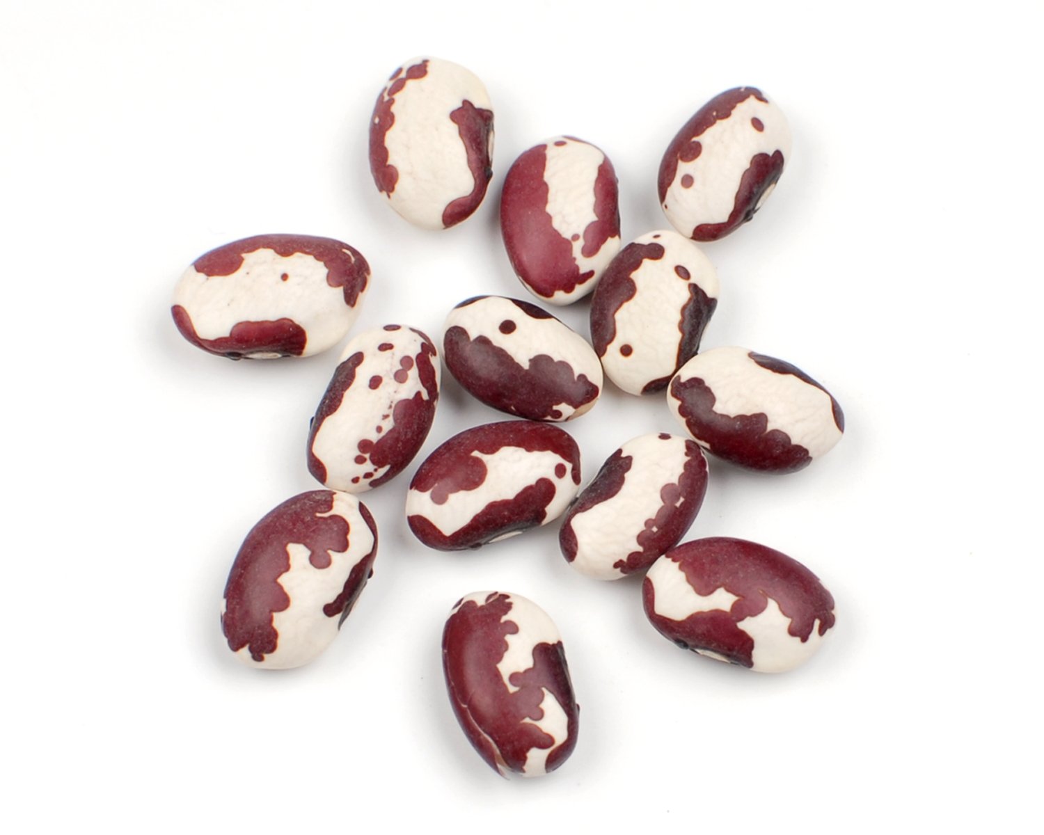 Organic Anasazi Beans - 25 lb Bulk Box | Non-GMO, Gluten-Free | Perfect for Soups, Stews, and Chili Recipes