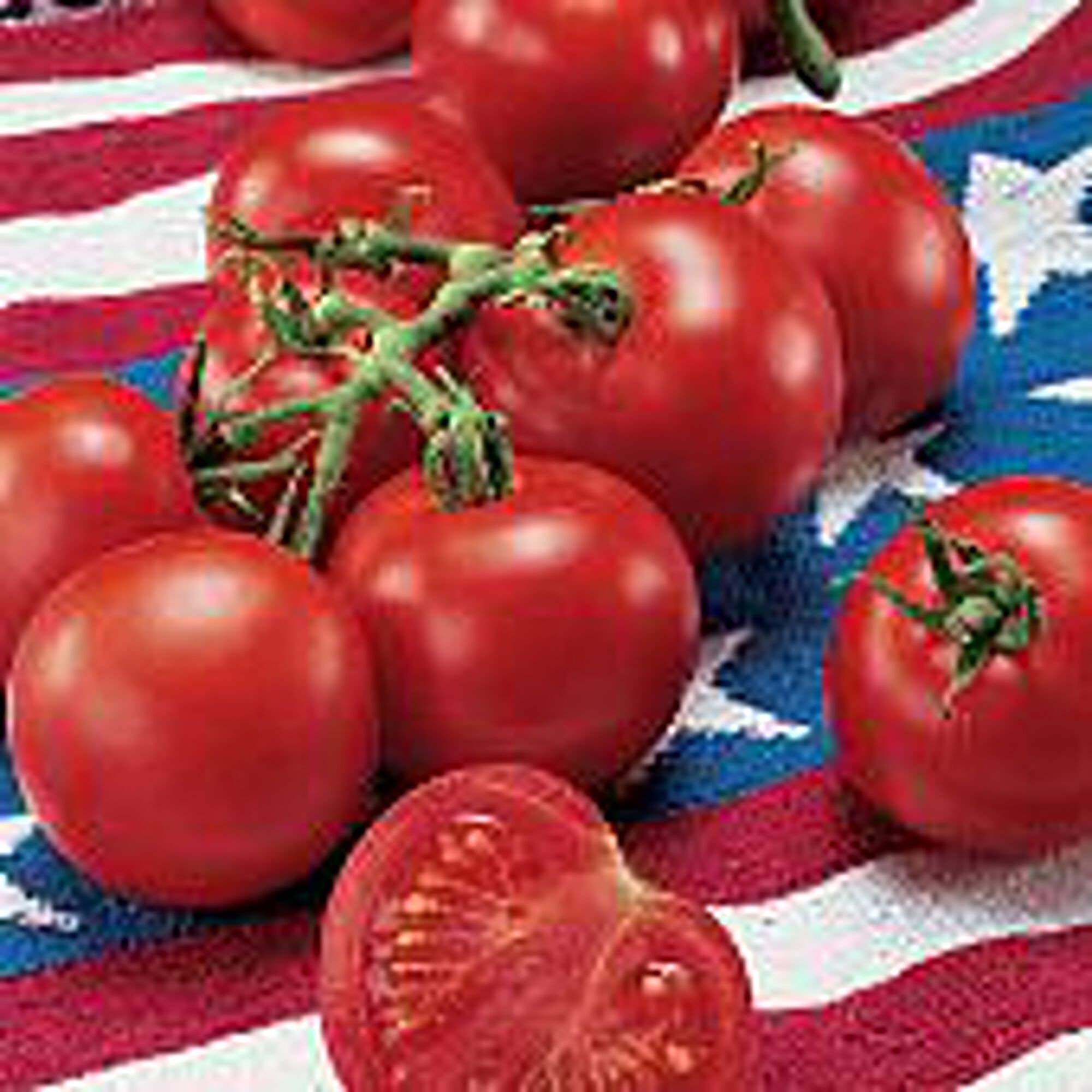 Non-GMO Heirloom Tomato Seeds for Planting - 25+ Seeds for Home Garden, Organic Vegetable & Fruit Gardening - Perfect for Fourth of July Celebrations & Summer Harvests