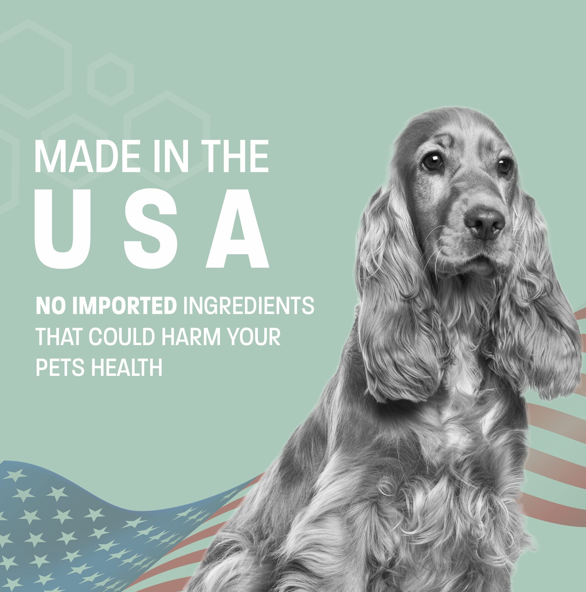 Aloe & Oatmeal Dog Shampoo for Sensitive Skin - Hypoallergenic Itch Relief & Moisturizing Shampoo & Conditioner - Soap-Free Formula for Dry, Itchy Skin - 16 oz - Perfect for Allergy-Prone Dogs & Post-Bath Comfort