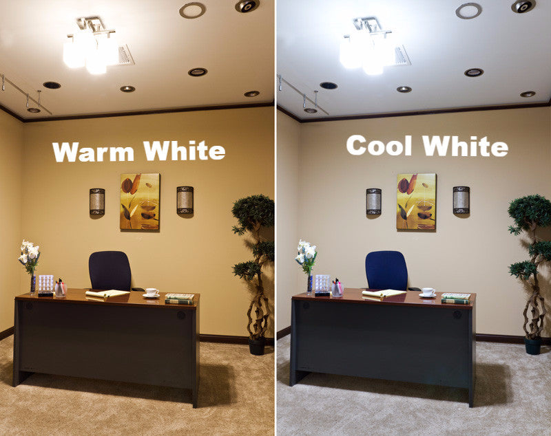 Energy Efficient E27 LED Light Bulb - 10W Equivalent to 60W, Warm White 2700K, Dimmable, 800 Lumens - Perfect for Living Room, Bedroom, and Office Lighting
