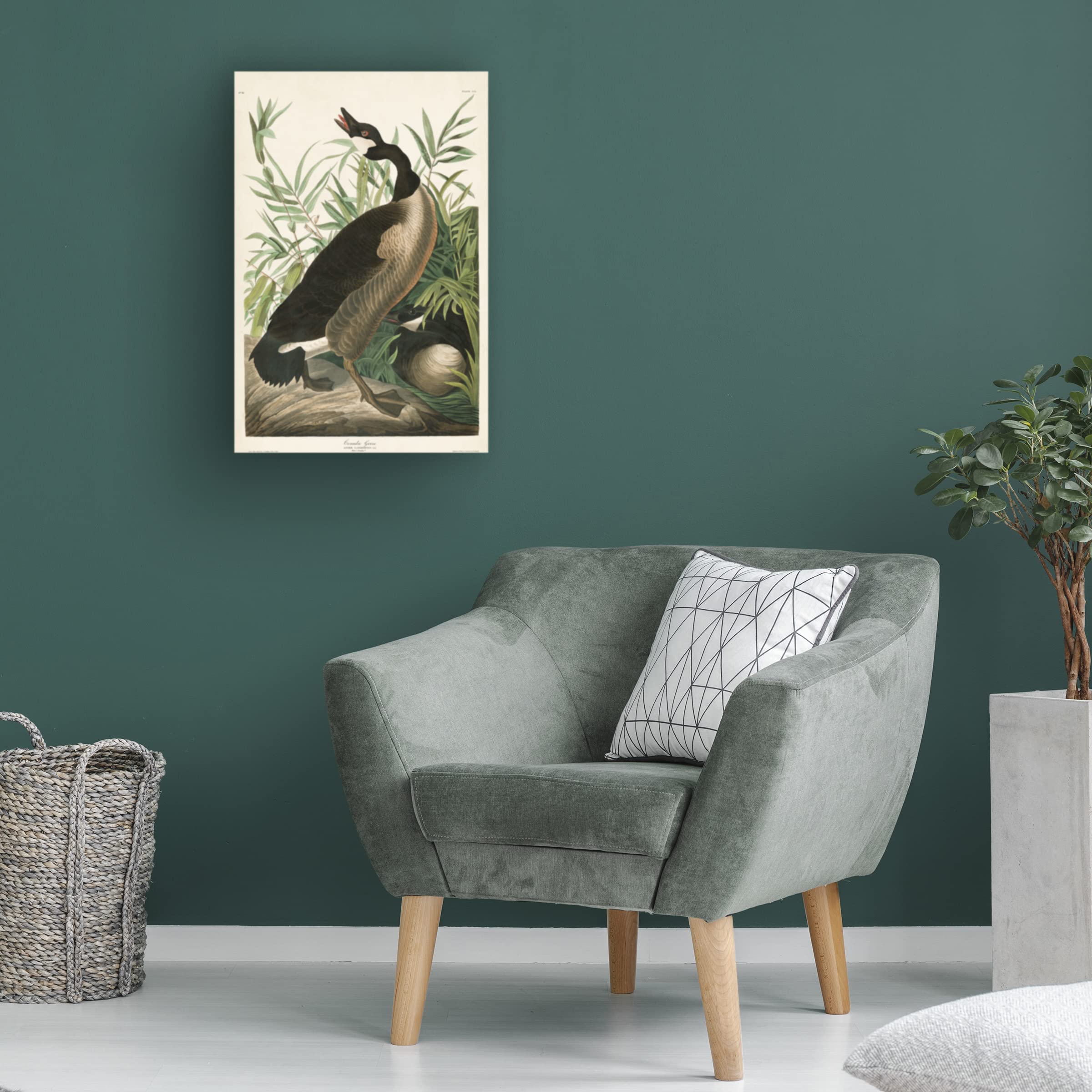 John James Audubon Canada Goose Fine Art Canvas Print 16x24 - Premium Wildlife Wall Decor for Living Room, Office & Cabin