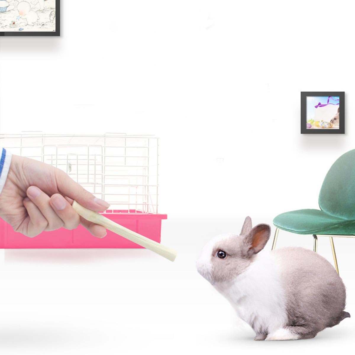 250g Natural Sweet Bamboo Chew Sticks for Rabbits, Guinea Pigs, Chinchillas, Hamsters - Healthy Small Pet Teeth Grinding Toy & Snack - Perfect for Cage Enrichment and Dental Care