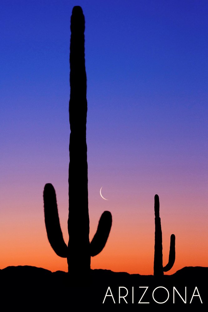 Arizona Cactus and Moon Wall Art - 16x24 Gallery Quality Metal Print, Aluminum Decor for Living Room, Bedroom & Office