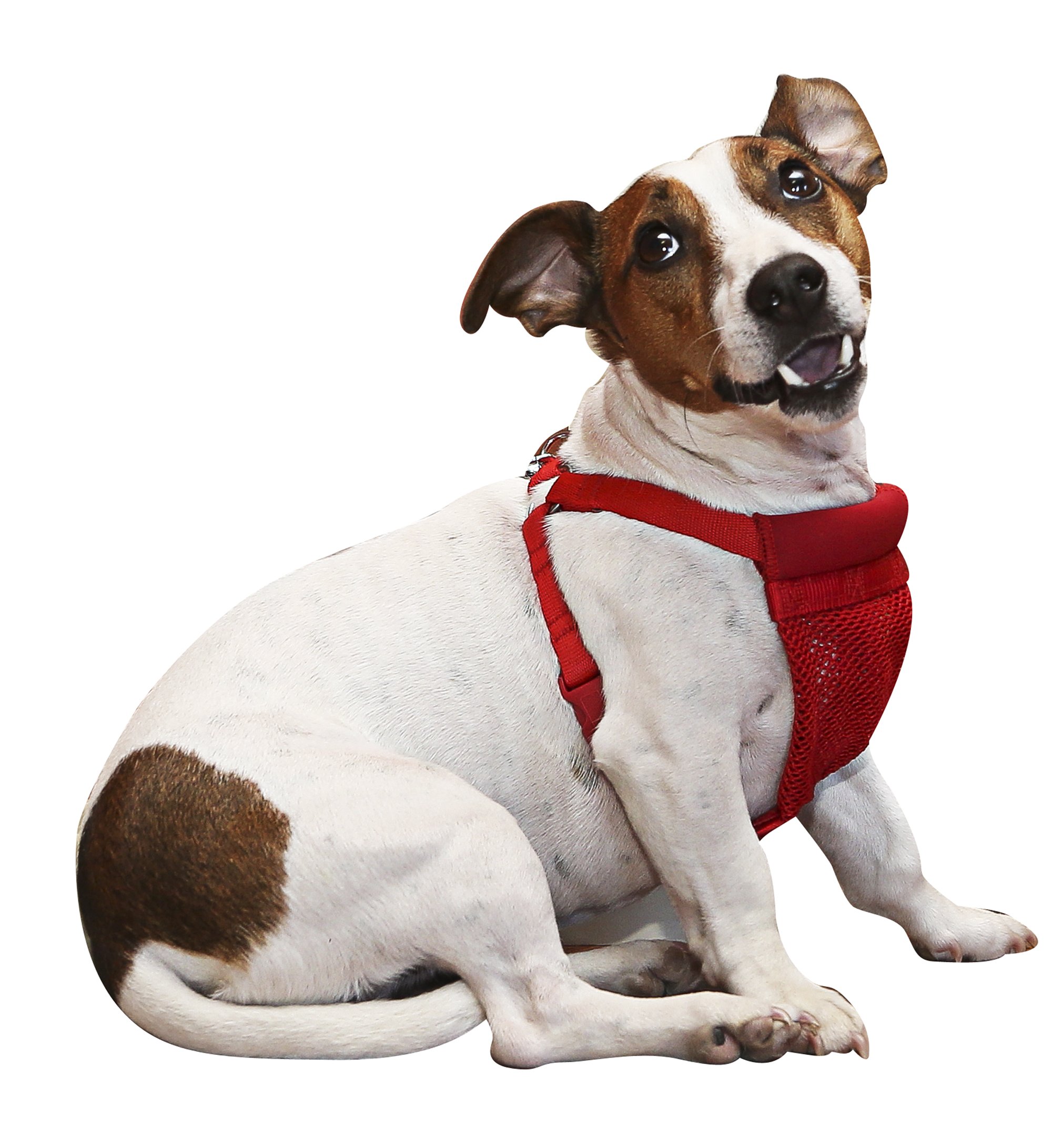 SPORN Comfort Dog Harness - Small, Red | Adjustable & Breathable Pet Vest for Walking, Training & Outdoor Adventures