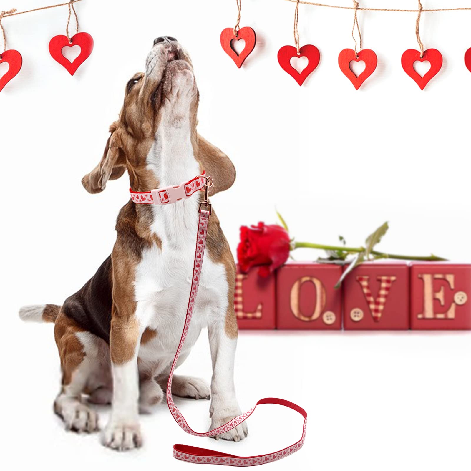 Valentine's Day Dog Collar & Leash Set - Adjustable Pink Glitter Collar with Red Heart Pattern, Matching Leash for Small Dogs | Perfect Valentine's Gift for Puppies, Dog Walking & Special Occasions