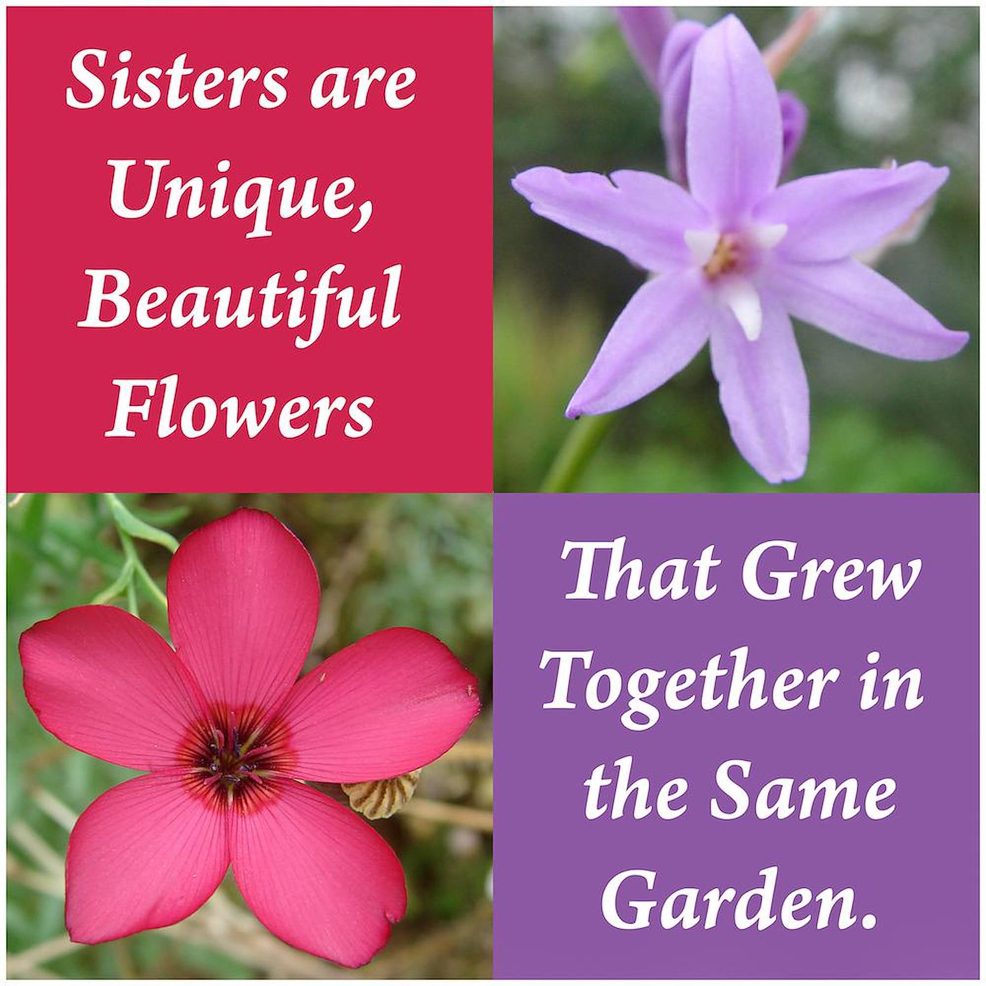 Sisters Coffee Mug - 11 oz (325 ml) Ceramic Cup with Two Flowers Design - Perfect for Sibling Gifts, Birthday Presents & Family Tea Time