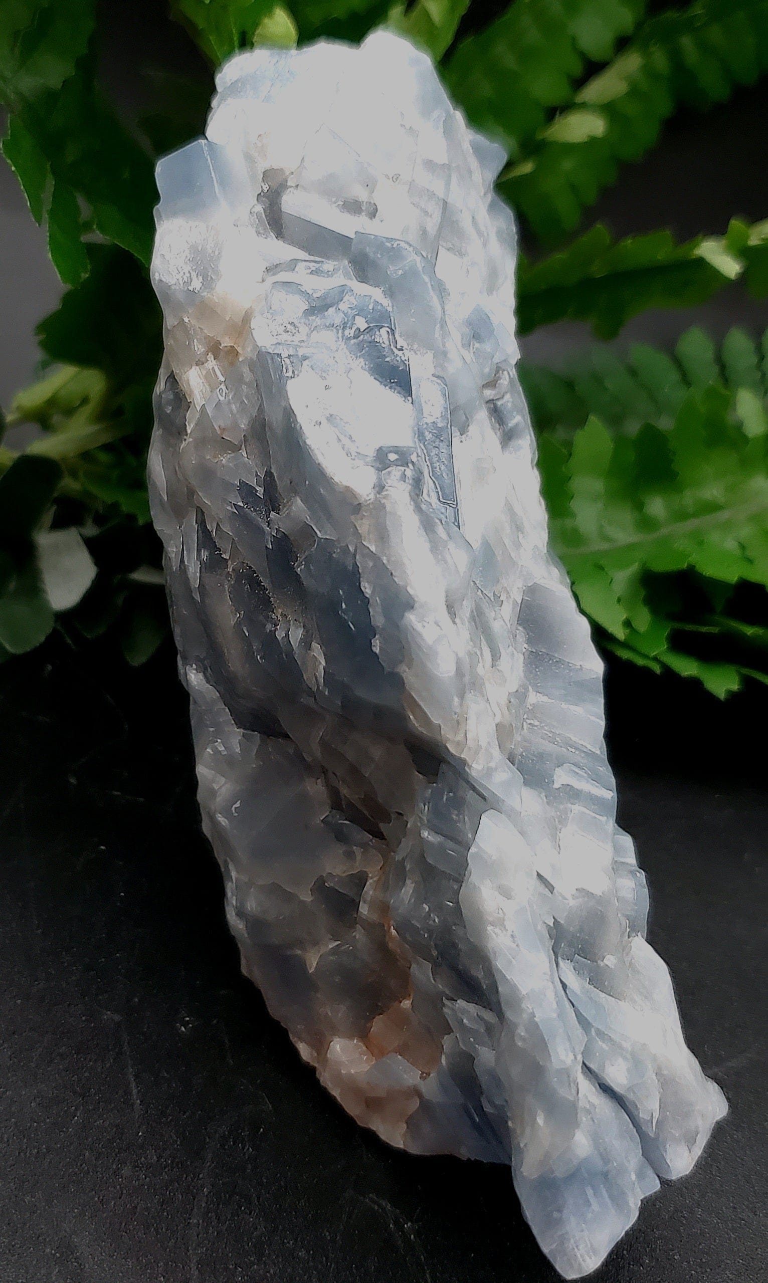 Natural Blue Calcite Crystal - 5 Pieces Set for Healing, Meditation & Home Decor | Perfect for Reiki, Chakra Balancing & Spiritual Gifts