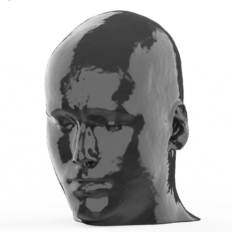 CTA AVM / Lesion Head and Neck Phantom for CT Scan & X-Ray Training - Medical Imaging Practice, Radiology Education, and Diagnostic Procedure Simulation