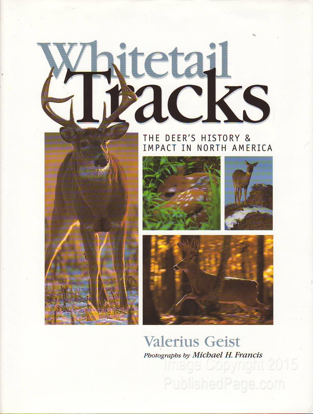 Whitetail Deer Tracks: History, Habitat & Ecological Impact in North America | Hunting, Wildlife Observation & Conservation