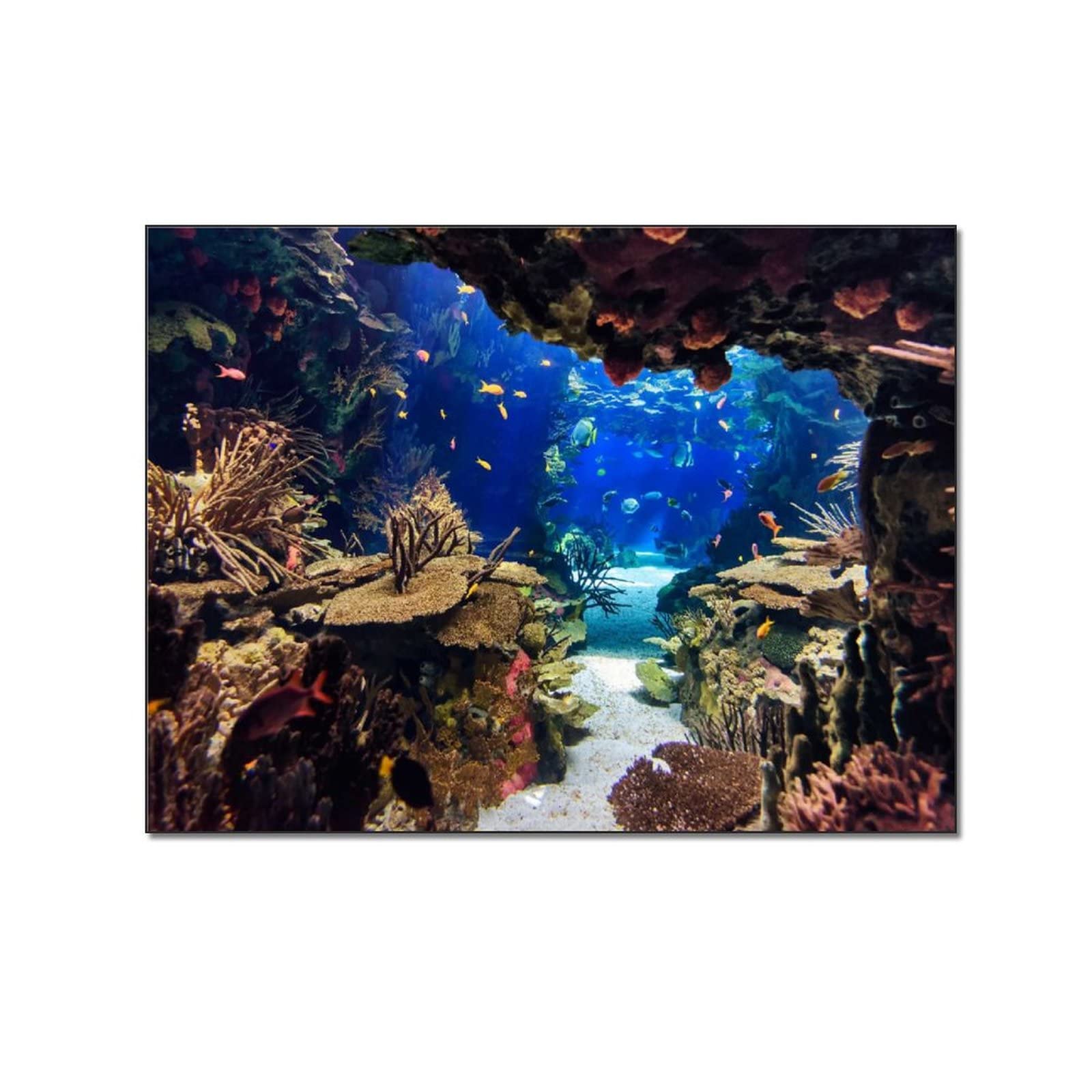 Sea Fish Coral Reef Wall Art - 24x32 Inch (60x80cm) Framed Canvas Painting for Living Room, Bedroom & Office Decor | Modern Ocean Theme Aesthetic Gift