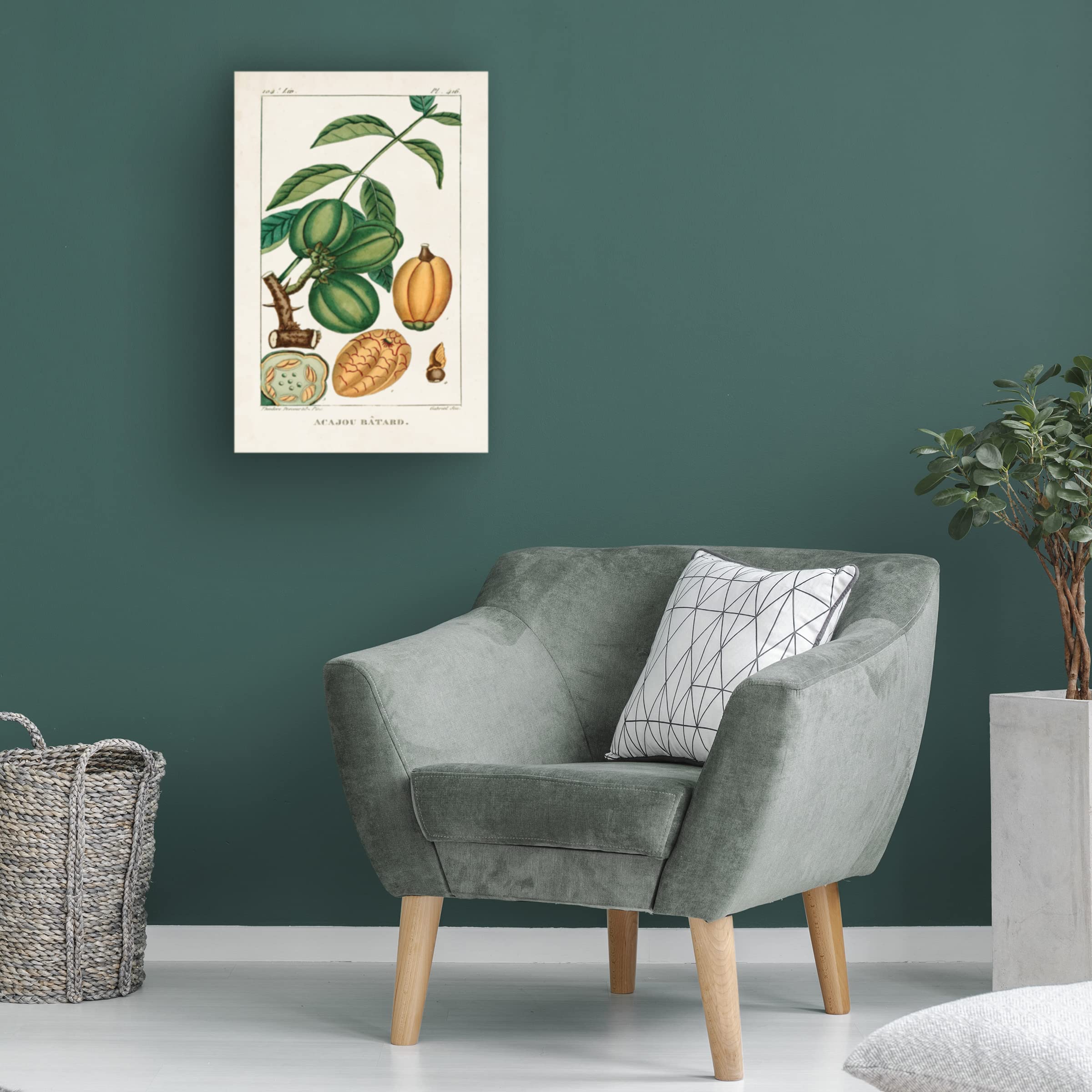 Turpin Foliage And Fruit IV Canvas Wall Art Print - Modern Botanical Home Decor for Living Room, Bedroom & Office