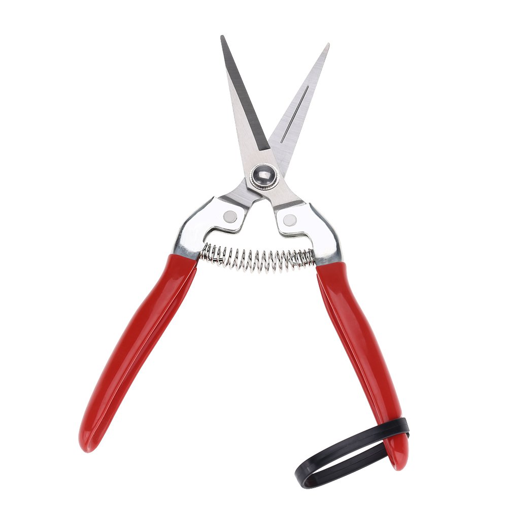Sturdy Stainless Steel Pruning Shears for Gardening, Fruit Trees & Bonsai