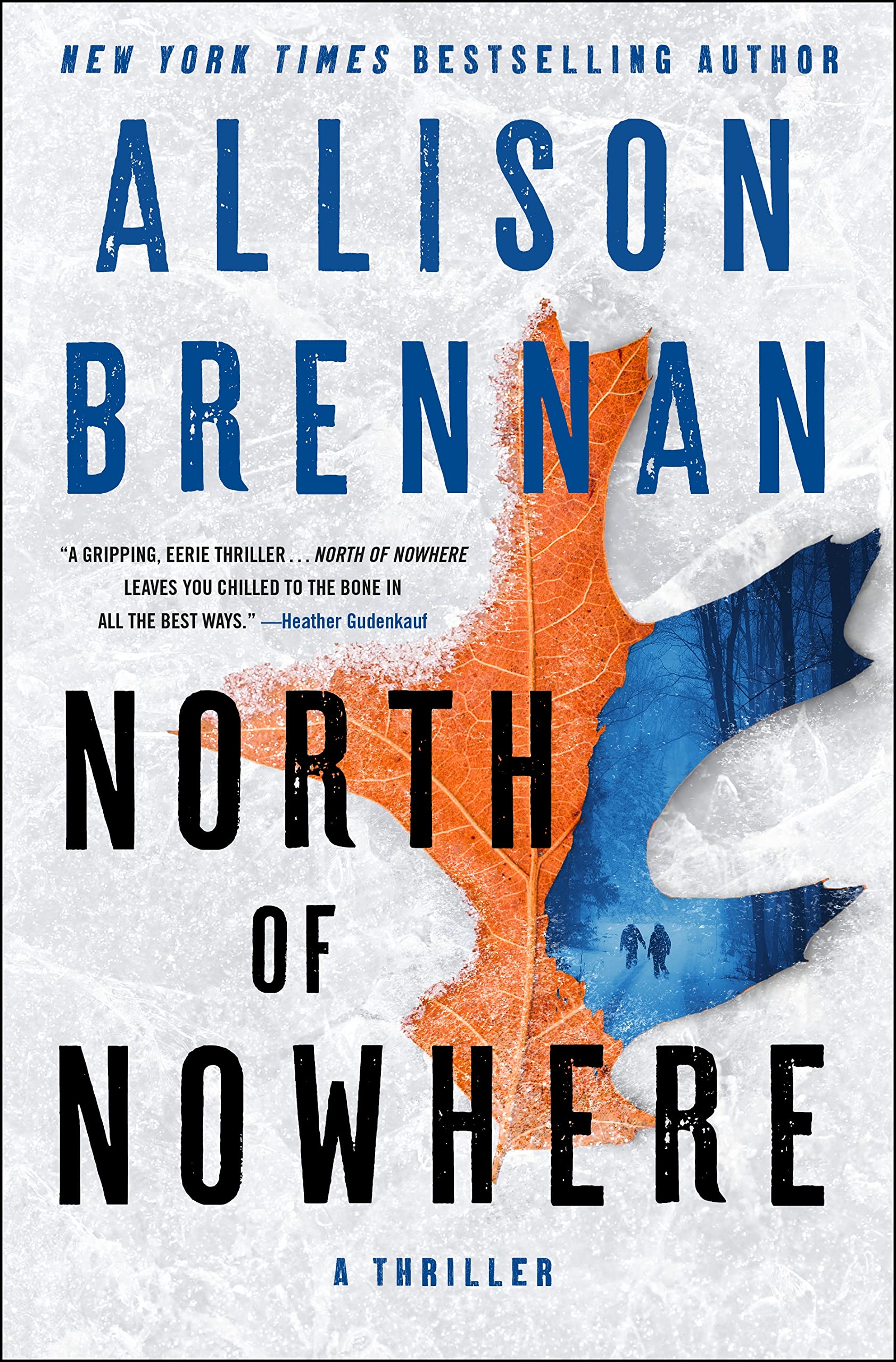 North of Nowhere Thriller Book - Suspenseful Reading for Travel